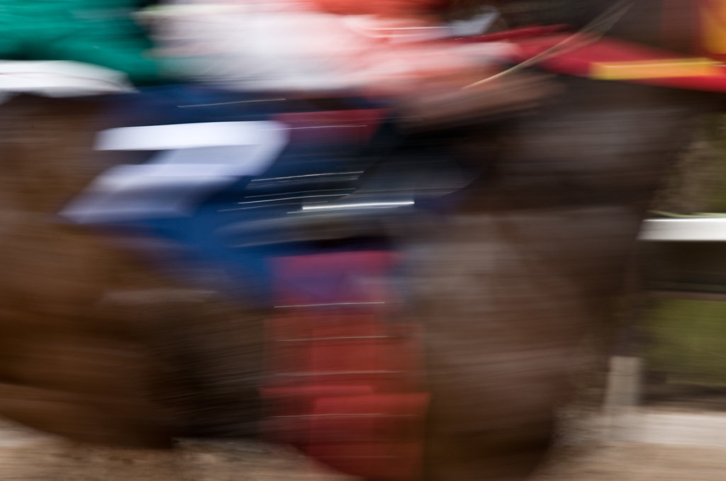 Blurry Racing Horse