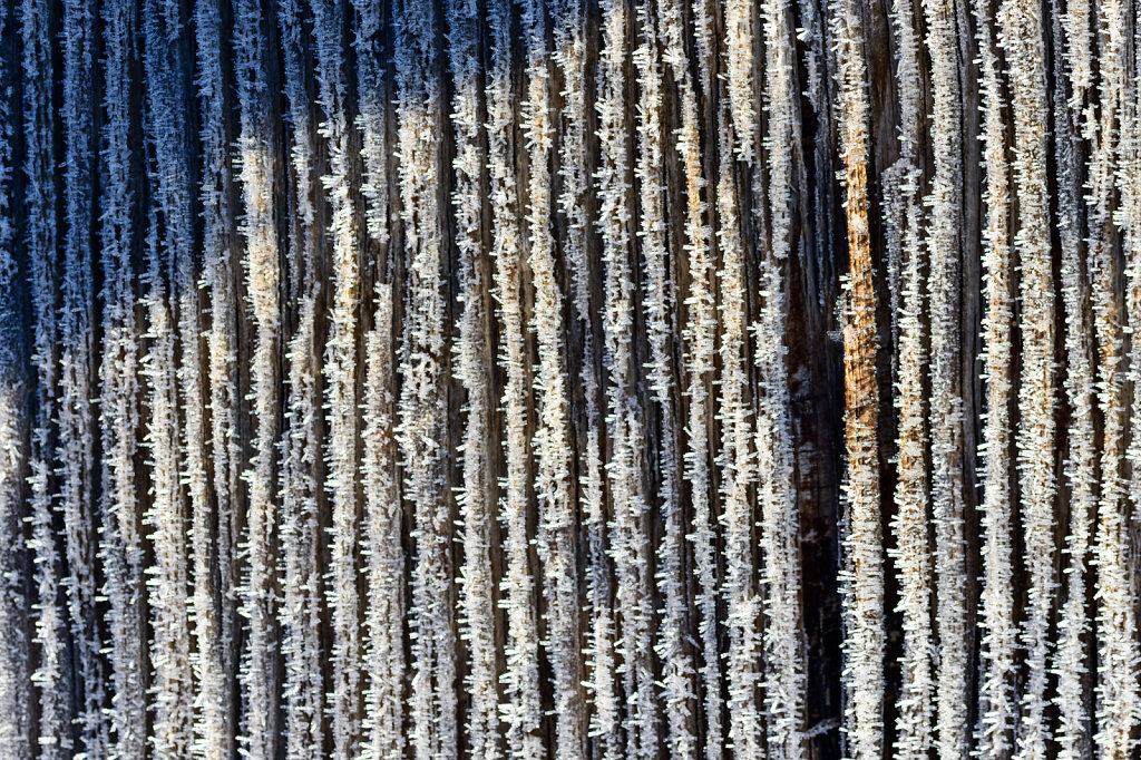 Frost on Wood